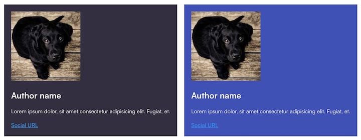 Author Cards SCSS Styling Background Color