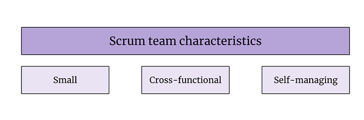 Scrum Team Characteristics