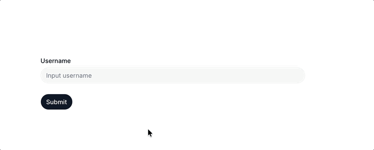Example Of An Online Form Built With Shadcn Ui With A Username Label Over An Input Field Over A Button