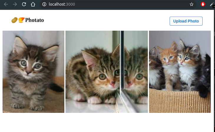 First Look At The App: Kitten Photos