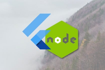 Running A Flutter Web App And API On Node.js