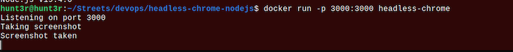 Docker Container Log Showing Where the Screenshot was Taken
