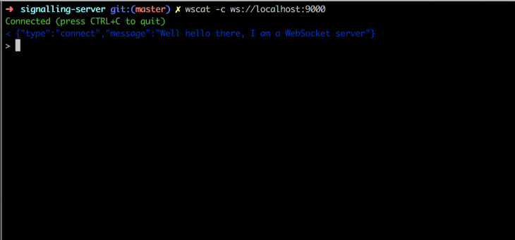 Using wscat to connect to a websocket server