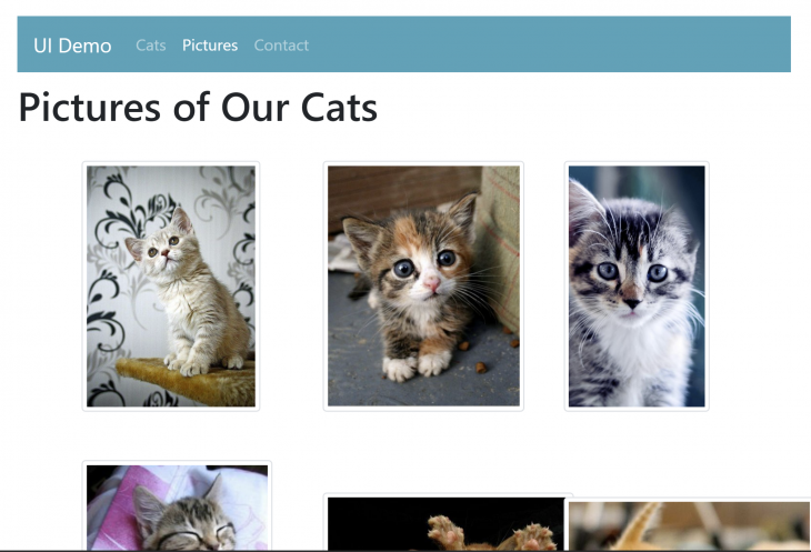 Cat images on Bootstrap Vue.