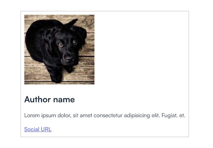 Author Card SCSS Styling