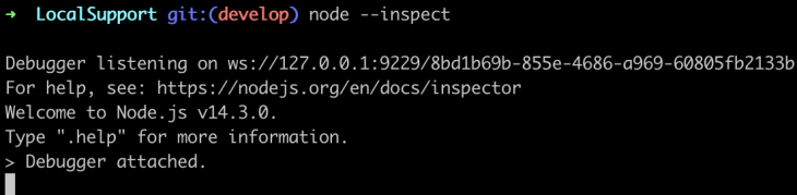 Running node --inspect On The Terminal