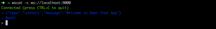 wscat local host saying "welcome to the chat app"