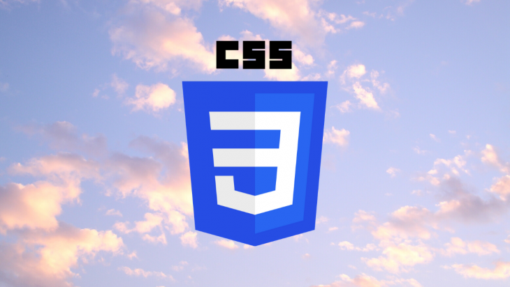 The CSS logo.