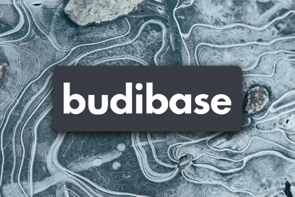 Budibase Logo