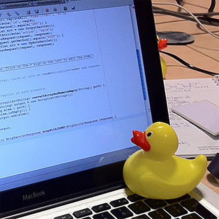 Rubber duck used for debugging