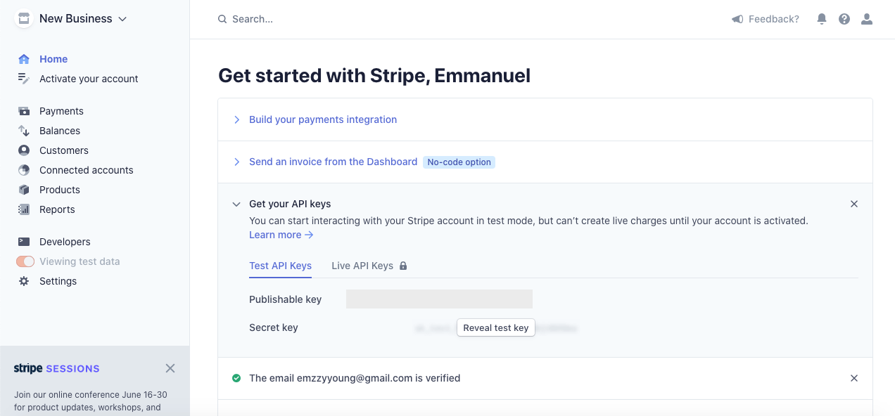 Screenshot of Stripe website where one can find their access key