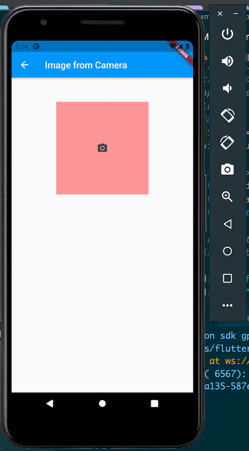 Flutter Image Picker From Camera Example