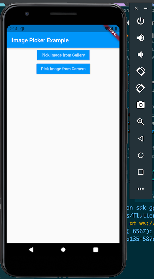 Flutter Image Picker Example App Home Page