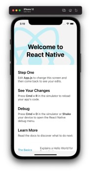 Write And Understand Your First React native App Quickly