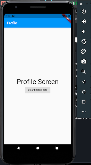 Flutter SharedPreferences Demo: Profile Screen at Launch