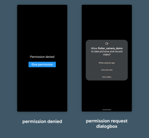 Flutter camera plugin: A deep dive with examples - LogRocket Blog