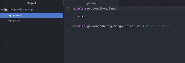 go.mod file after installing mongo-go-driver