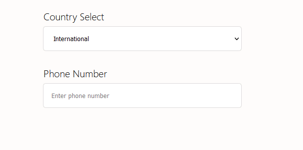 React Phone Number Input Field Example