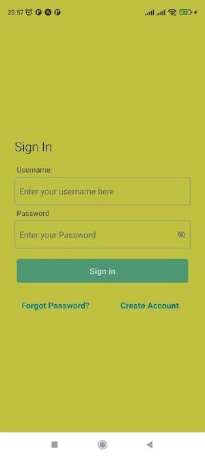 Applying A Custom Style To The Authenticator Component Container