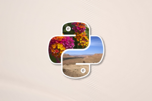 Image processing in Python using Pillow - LogRocket Blog