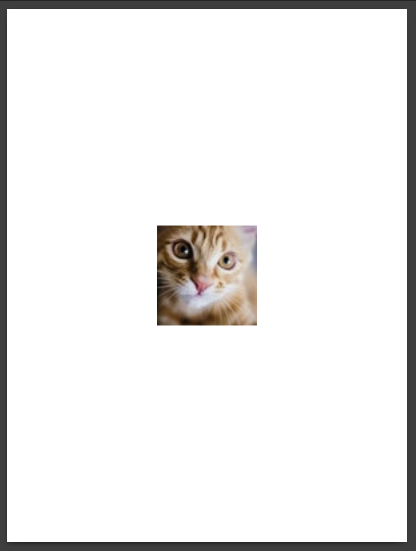 pdf with picture of a cat