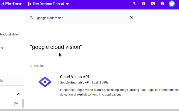 Enable Google Cloud Vision API
