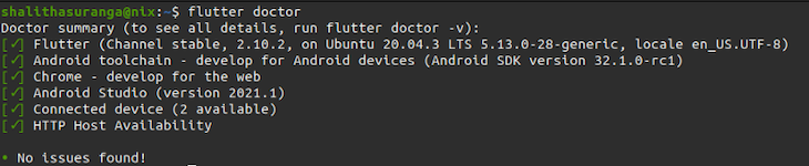Flutter Doctor Command Output