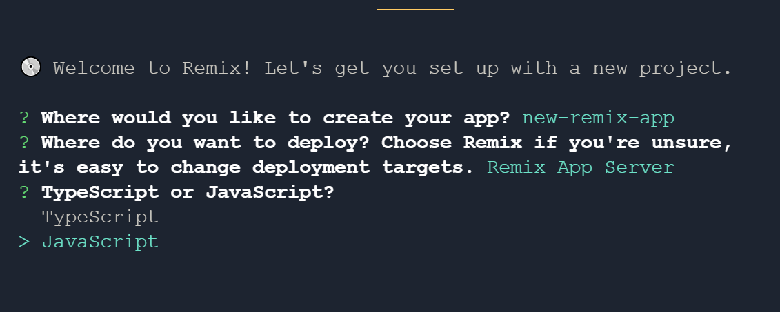 Remix setup on IDE reading "TypeScript or JavaScript?"