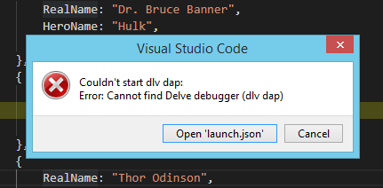 VS Code Debugger Error