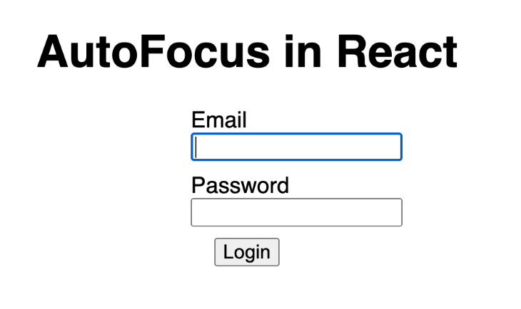 Autofocus in React Email and Password Fields