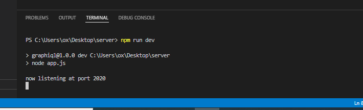 npm Run Dev Example