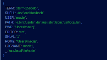 Dark Blue Background Displaying Result Of Process Env File Being Logged To Console With Full State Of Application's Environment Shown In List Format
