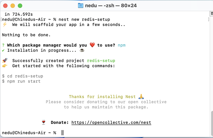 Cd Into Redis Setup Screenshot