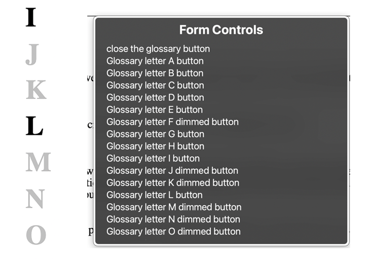 The disabled buttons on the left and the web rotor form on the right