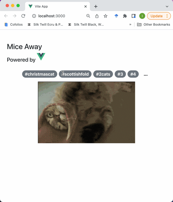 Application Axios Vue résultant du plugin créé affiché dans le navigateur de Localhost 3000 avec le titre "Mice Away" et des boutons de filtre avec des images et des gifs ci-dessous