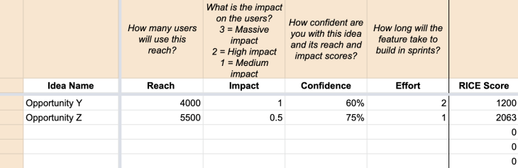 RICE Prioritization Template