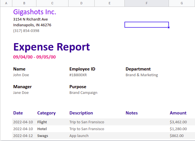 Go Excelize Expense Report