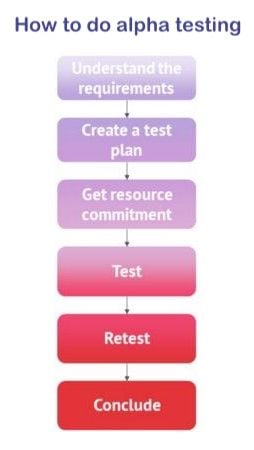 What is alpha testing? Definition and process with examples