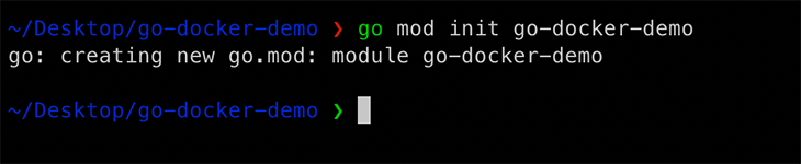 Output of creating a new Go module