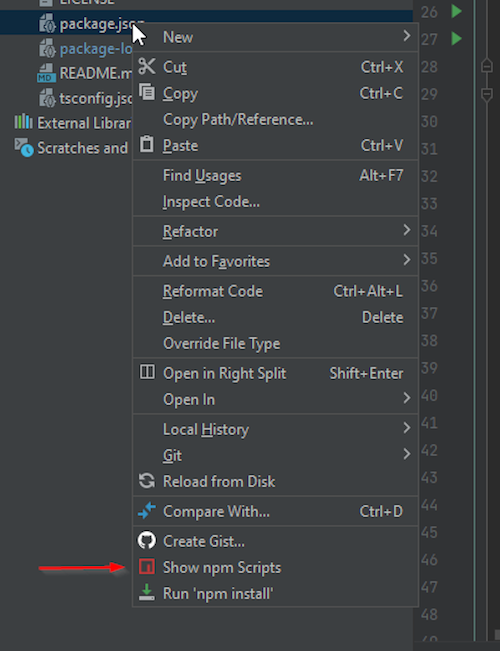 Show Npm Scripts Package JSON