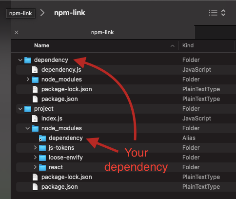 Dependency Is In Package JSON File