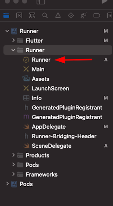 Red Arrow Pointing Left To Runner Entitlements File Resulting From Previous Step