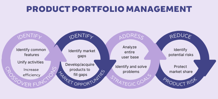 Product Portfolio Management Responsibilities