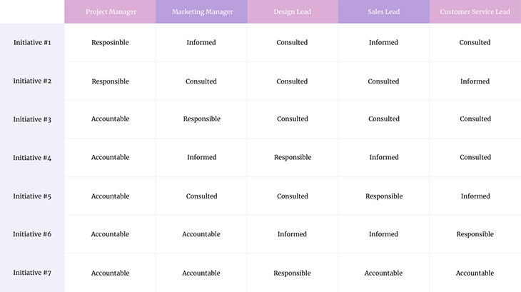 RACI Matrix Example CHart