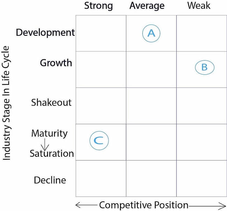 Hofer's Product Market Evolution Matrix Example