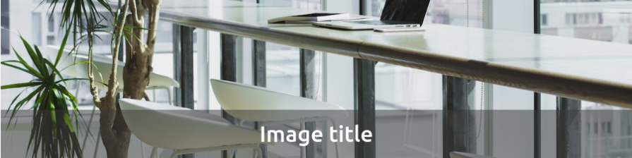 Same Stock Image Now With Semi Transparent Bar At Bottom Of Image With White Text Reading Image Title