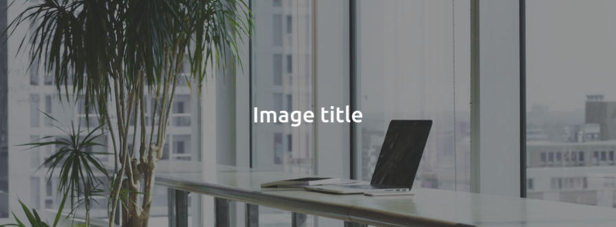 Same Stock Image Fully Covered By Translucent Overlay With White Text Reading Image Title