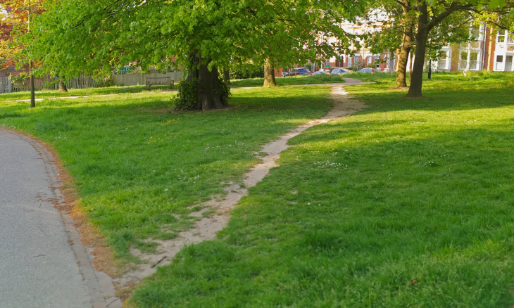 Desire Path Trail