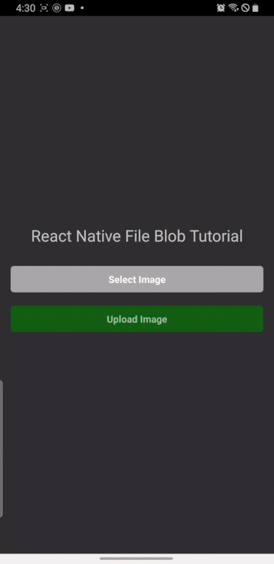 Full App Handling Blob Data React Native
