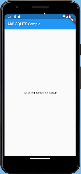 Smartphone Preview Of App Using Sqlite Database With Displayed Text Set During Application Startup